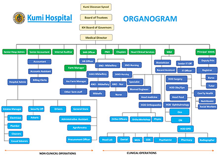 Kumi Hospital Organisation Structure